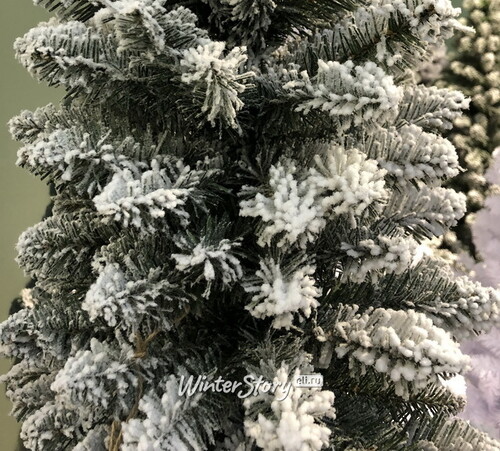 Искусственная елка Pensil Pine заснеженная 240 cм, ПВХ Winter Deco