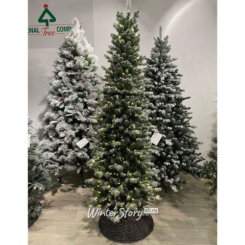 Искусственная елка с гирляндой Шеффилд заснеженная стройная 228 см, 450 теплых белых ламп, ЛИТАЯ + ПВХ National Tree Company
