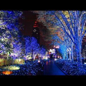 Гирлянды на дерево Клип Лайт Quality Light 100 м, 1000 синих LED ламп, черный ПВХ, IP44 BEAUTY LED фото 2