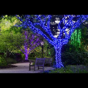 Гирлянды на дерево Клип Лайт Quality Light 60 м, 600 синих LED ламп, черный ПВХ, IP44 BEAUTY LED фото 3