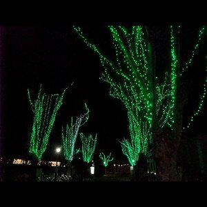 Гирлянды на дерево Клип Лайт Legoled 30 м, 225 зеленых LED, черный КАУЧУК, IP54 BEAUTY LED фото 2
