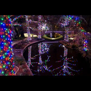 Гирлянды на дерево Клип Лайт Quality Light 30 м, 300 разноцветных LED ламп, черный ПВХ, IP44 BEAUTY LED фото 5