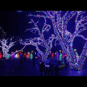 Гирлянды на дерево Клип Лайт Quality Light 30 м, 300 разноцветных LED ламп, черный ПВХ, IP44 BEAUTY LED фото 6