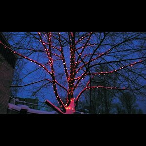 Гирлянды на дерево Клип Лайт Legoled 30 м, 300 красных LED, мерцание, черный КАУЧУК, IP44 BEAUTY LED фото 2