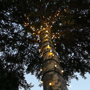 Гирлянды на дерево Клип Лайт Legoled 30 м, 225 теплых белых LED, черный КАУЧУК, IP54 BEAUTY LED фото 3