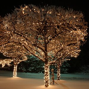 Гирлянды на дерево Клип Лайт Quality Light 100 м, 1000 теплых белых LED ламп, черный ПВХ, IP44 BEAUTY LED фото 1