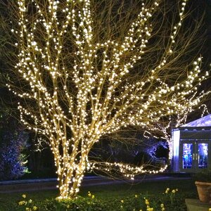 Гирлянды на дерево Клип Лайт Quality Light Cap 60 м, 600 теплых белых LED ламп, прозрачный ПВХ, IP65 BEAUTY LED фото 1
