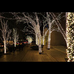 Гирлянды на дерево Клип Лайт - Спайдер 100 м, 900 шампань LED, черный СИЛИКОН, IP54